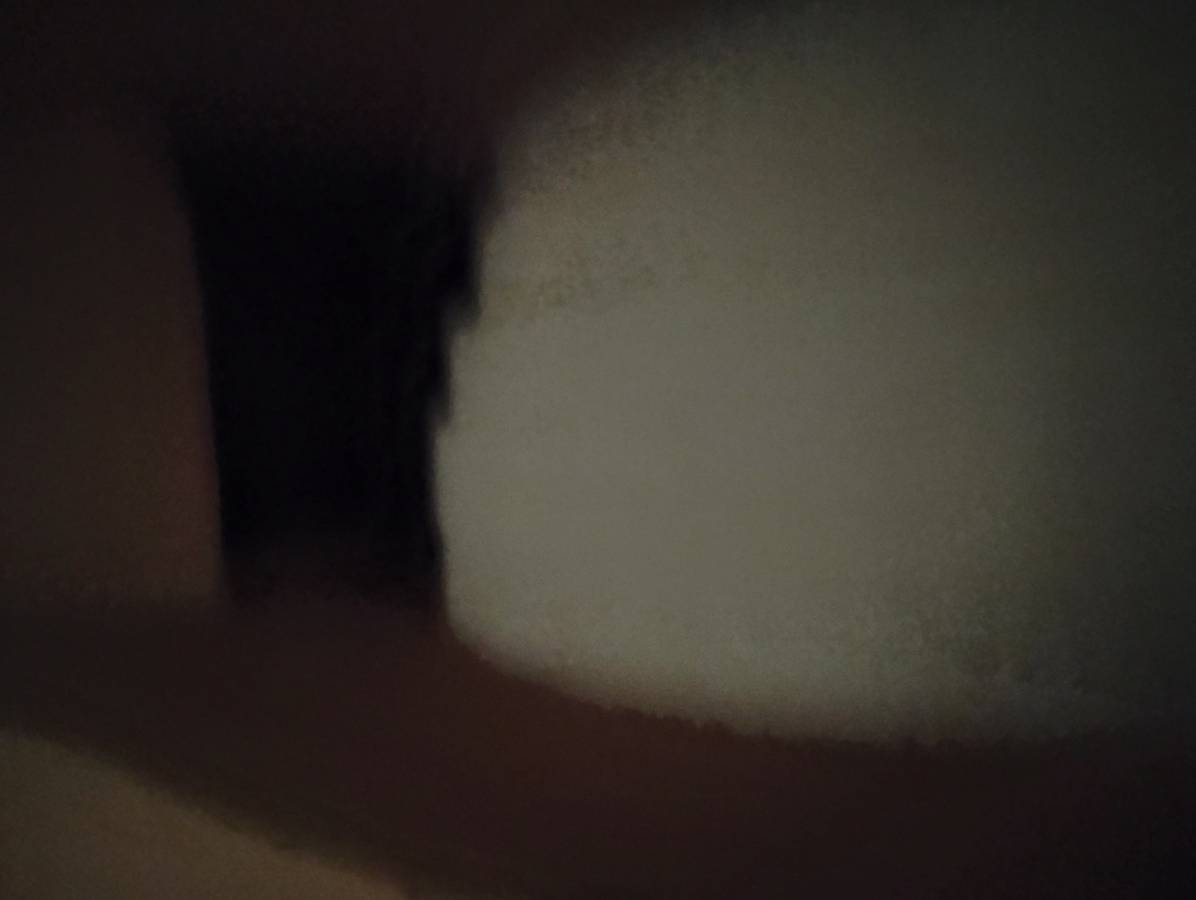 buffing and burnishing pads all different sizes